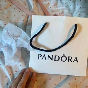 ❗CLOSET CLOSING ❗Pandora shopping bag